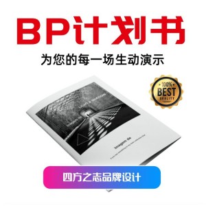 深圳代写代做定制商业计划书设计排版 ppt代做设计视觉定制公司